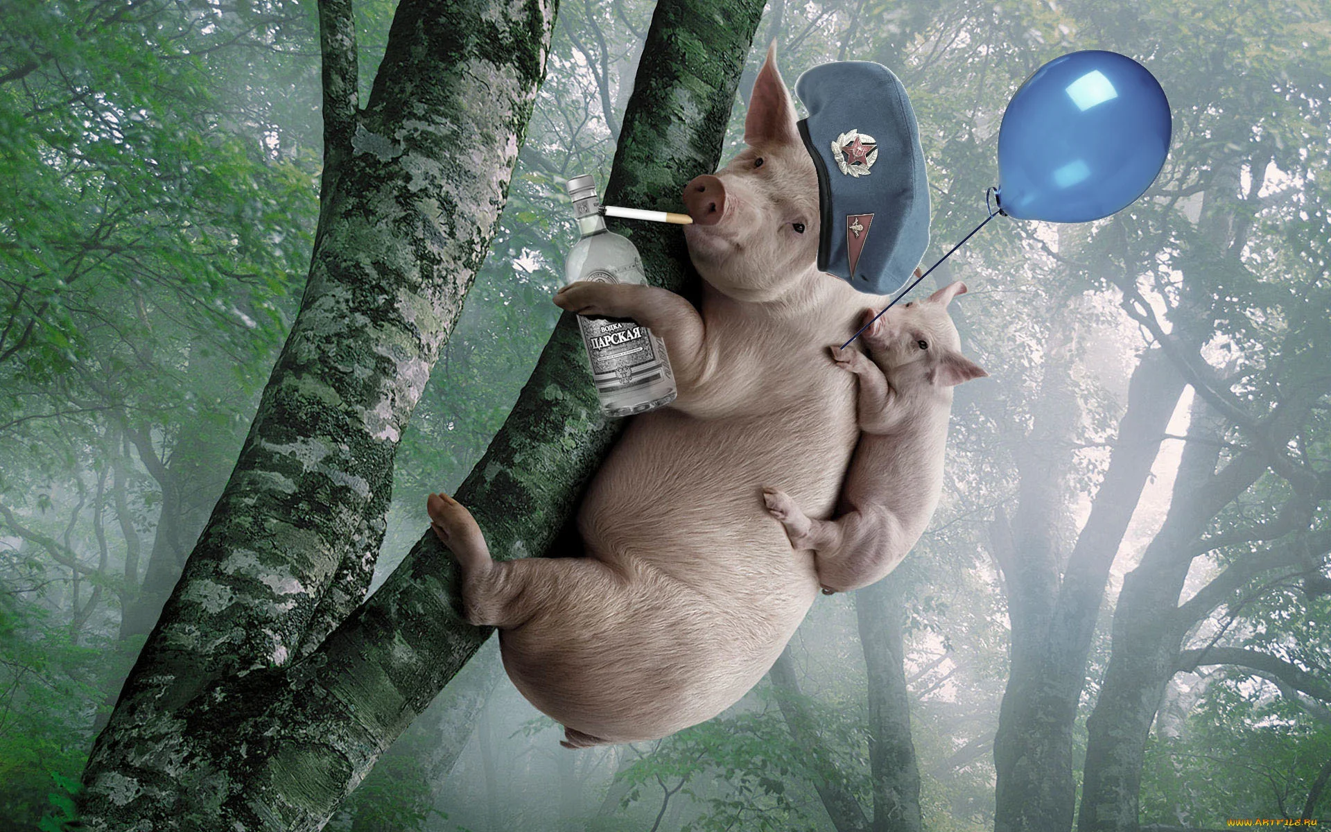 Без имени-1.webp