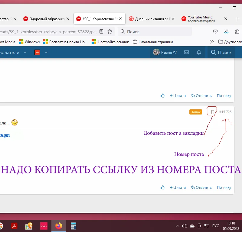 Без имени-1.webp