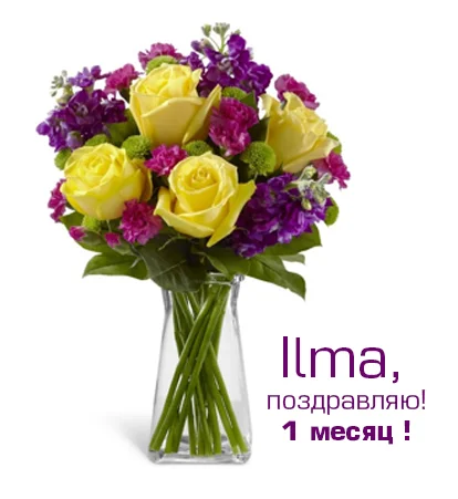 Без имени-1.webp