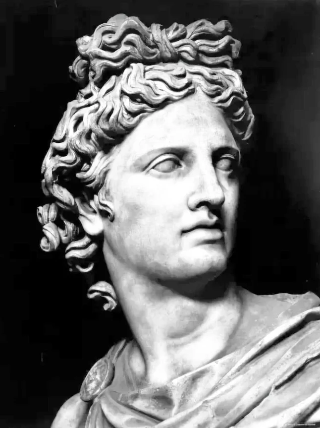 Без имени-1.webp