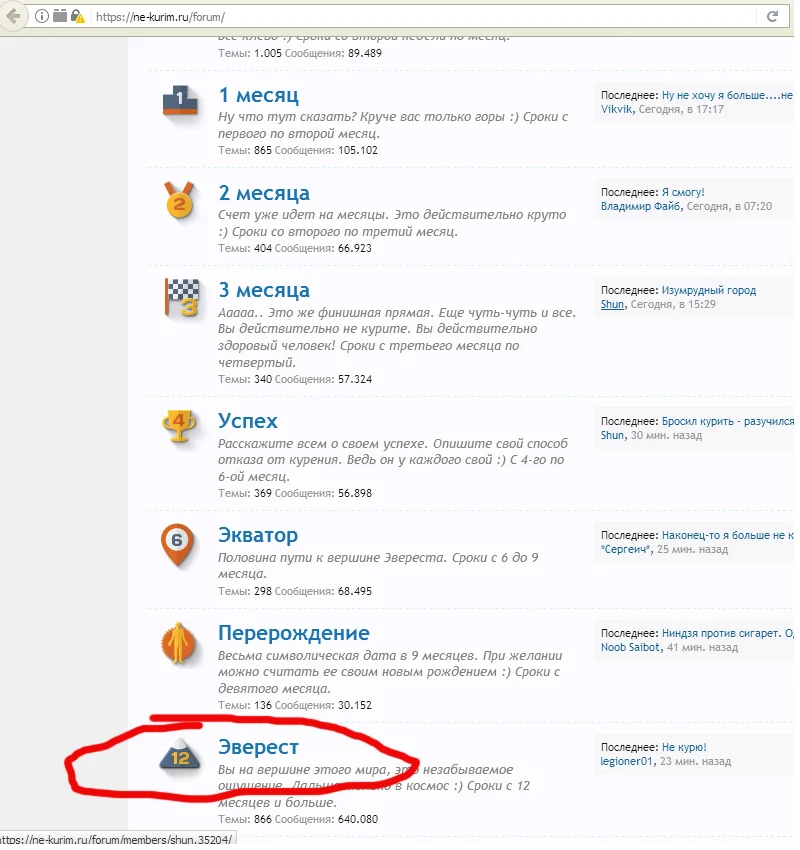 Без имени-1.webp