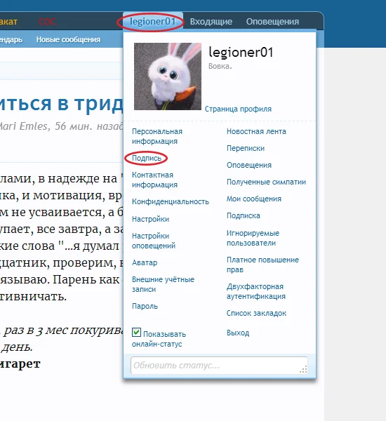 Без имени-1.webp