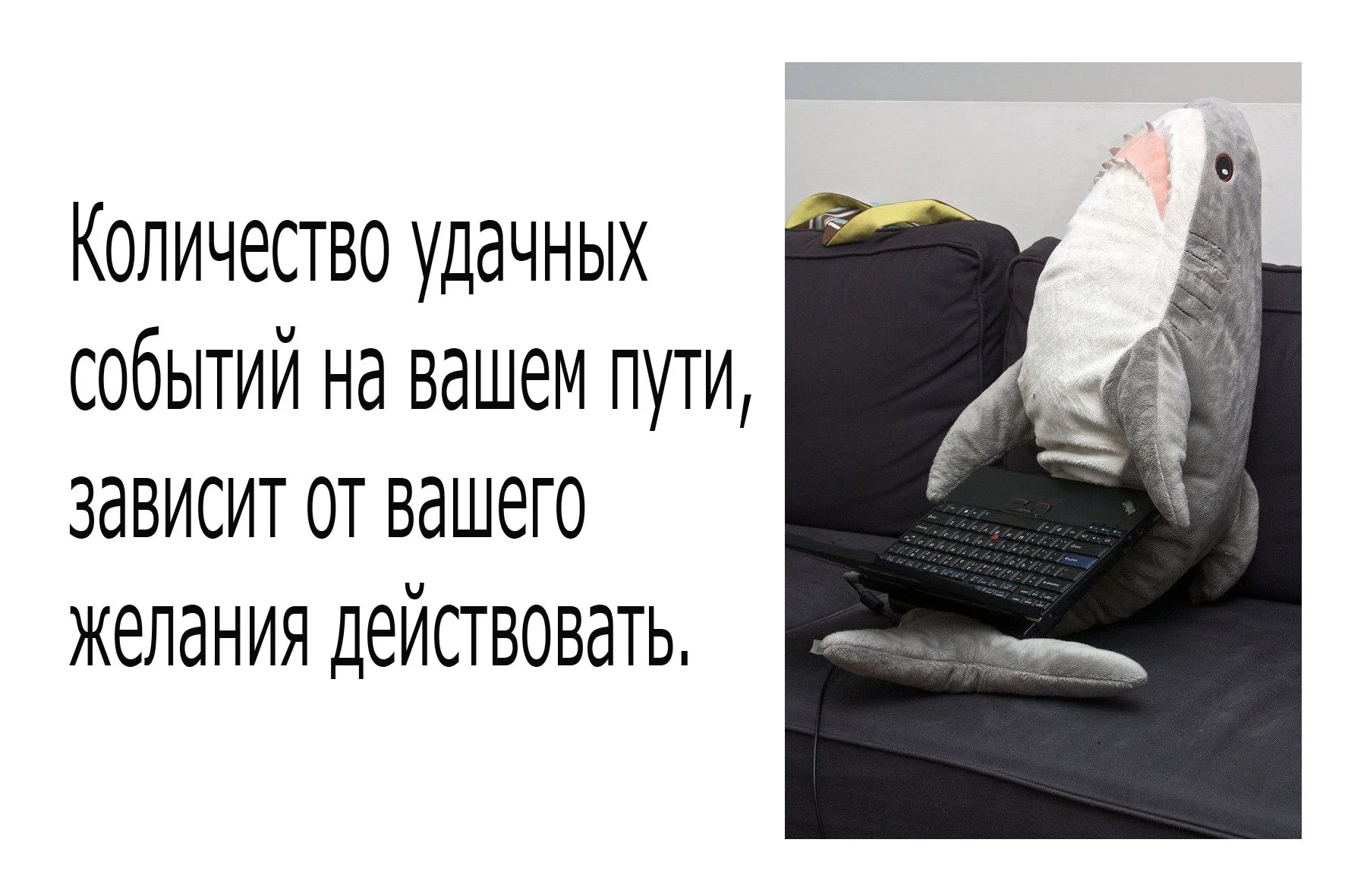 Без имени-1.webp