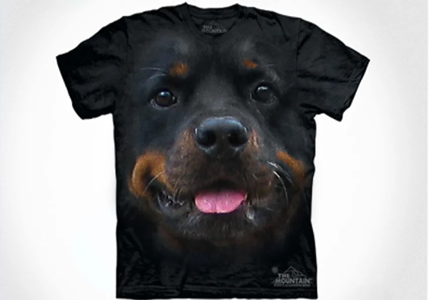 Без имени-1.webp