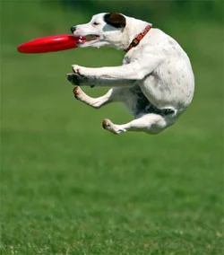 Без имени-2.webp