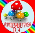 Без имени-3.webp