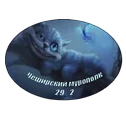 Без имени-5.webp