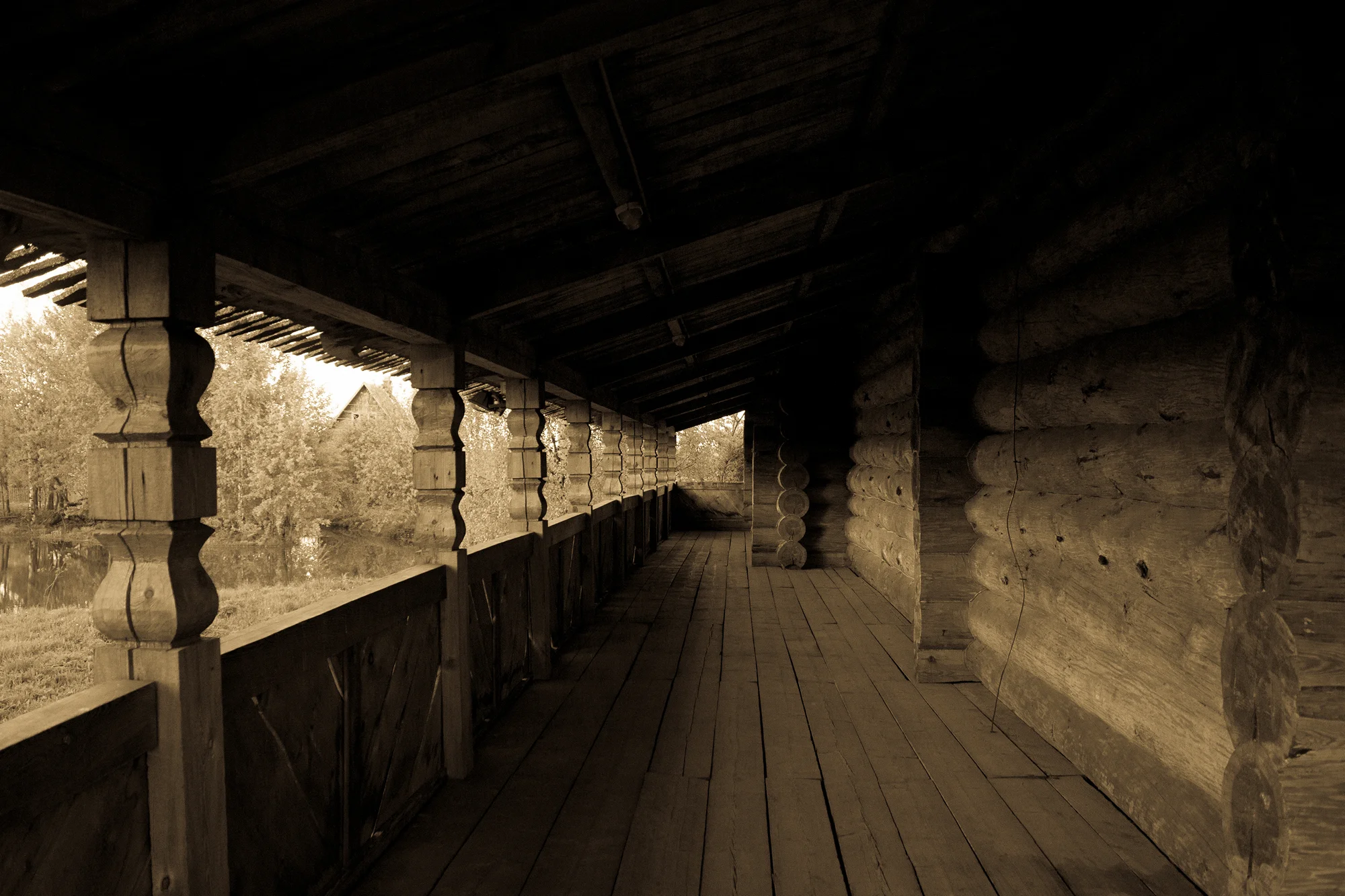 без имени-692.webp