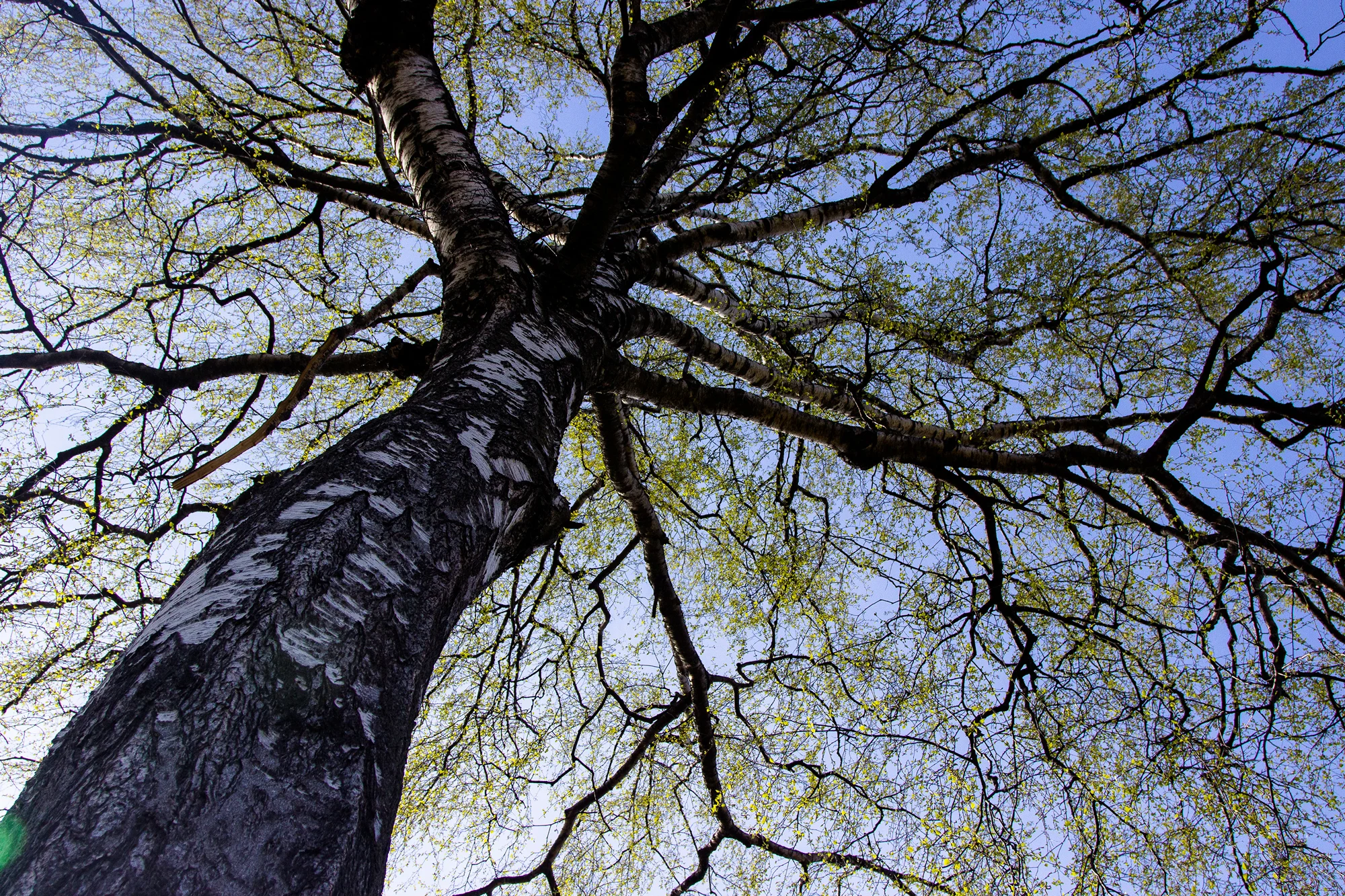 без имени-955597.webp