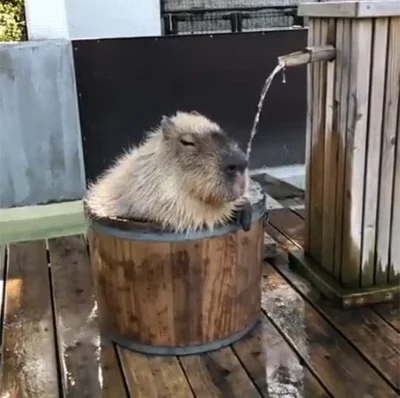 Без имени.webp