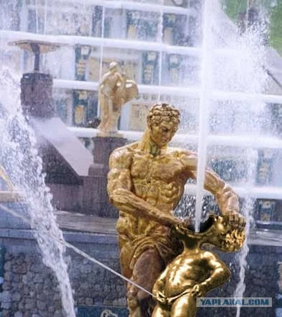 Без имени.webp