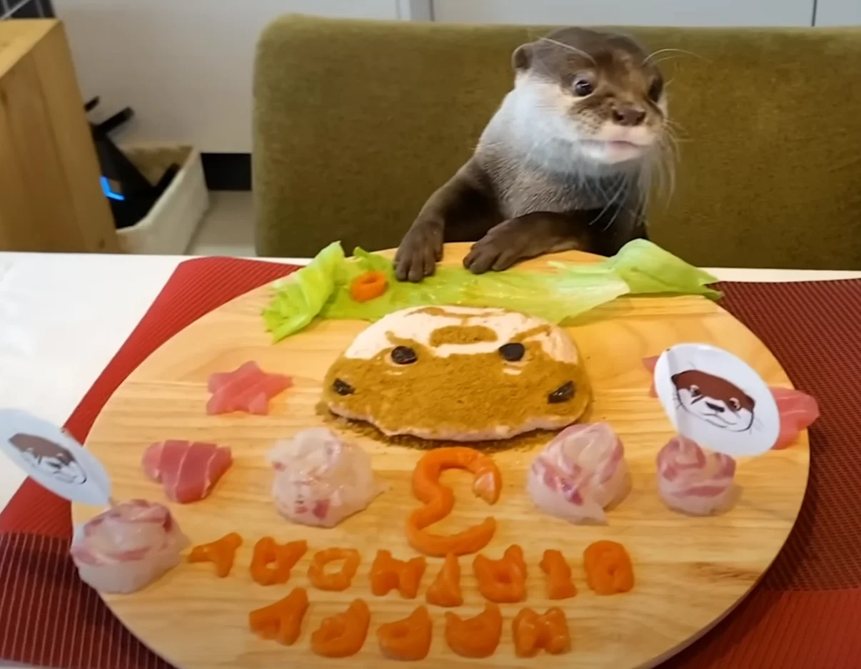 Без имени.webp