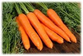 Без имени.webp