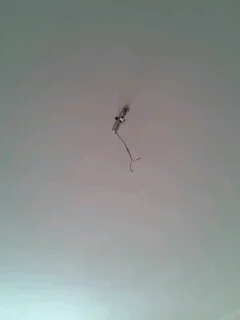 без люстры.webp