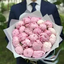 Без наания (1).webp