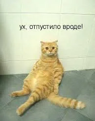 Без названия (1)_1.webp