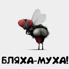 Без названия (1).jpg