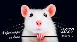 Без названия (1).webp