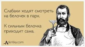 Без названия (1).webp