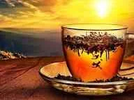 Без названия (1).webp