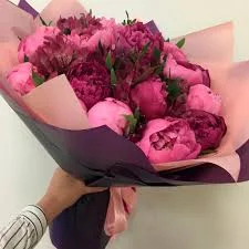 Без названия (1).webp