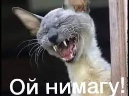 Без названия (1).webp