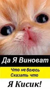 Без названия (1).webp