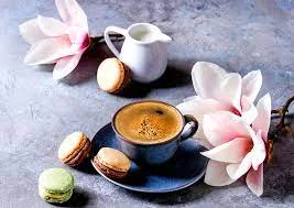 Без названия (1).webp