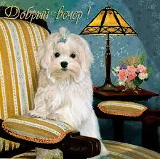 Без названия (1).webp