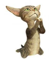 Без названия (1).webp