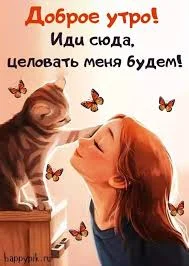 Без названия (1).webp