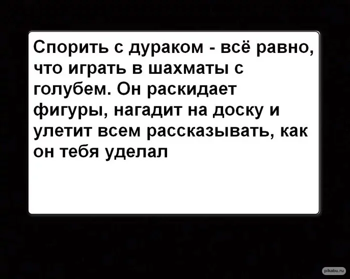 Без названия (1).webp