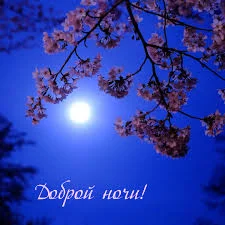 Без названия (1).webp