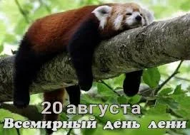 Без названия (1).webp