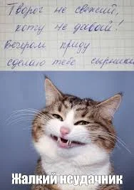 Без названия (1).webp