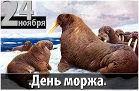 Без названия (1).webp