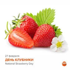 Без названия (1).webp