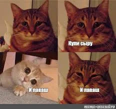 Без названия (1).webp