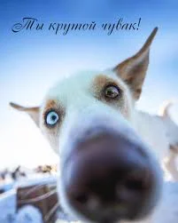 Без названия (1).webp