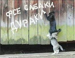 Без названия (1).webp