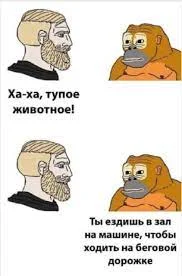 Без названия (1).webp