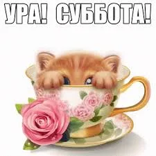 Без названия (1).webp