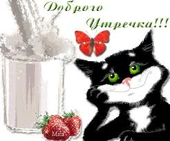 Без названия (1).webp