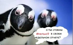 Без названия (1).webp