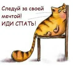 Без названия (1).webp