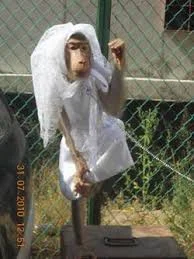 Без названия (1).webp