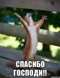 Без названия (1).webp