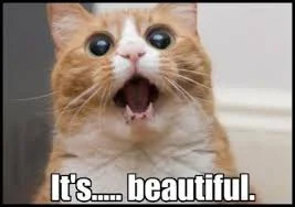 Без названия (1).webp