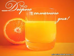 Без названия (1).webp