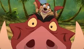 Без названия (1).webp